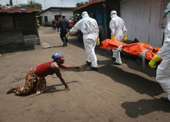 ������2014�걬�����ģ���������顣