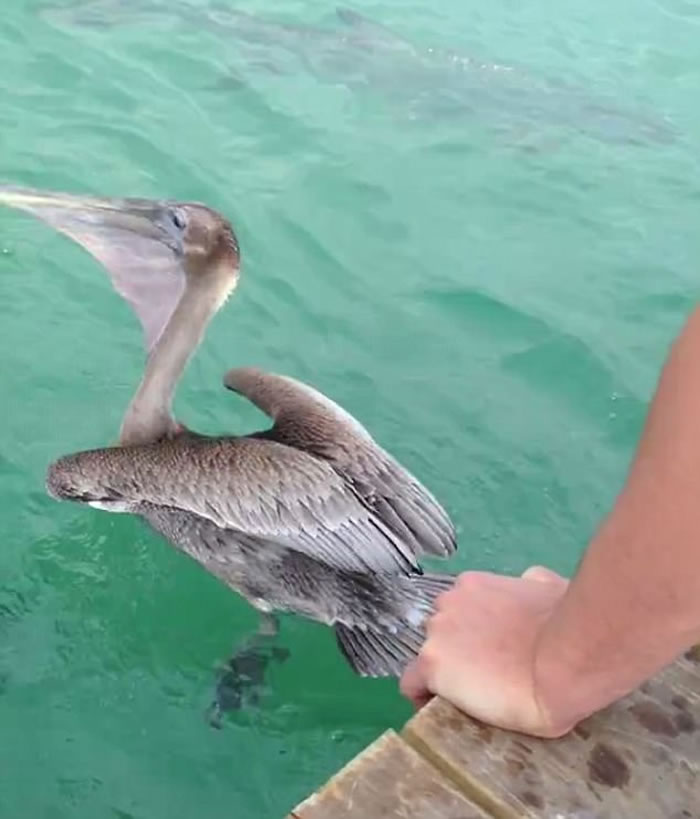 �������������ҧ����β������ ˭֪���ѱ����ɶ���