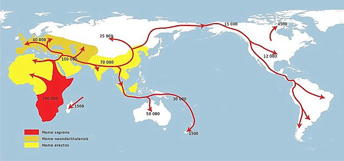 德国小镇发现与智人有关系的猿类牙齿化石 距今970万年