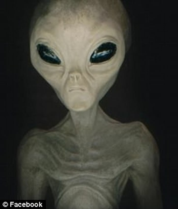 �������������������ӱ��������³�����2048�� ��������������