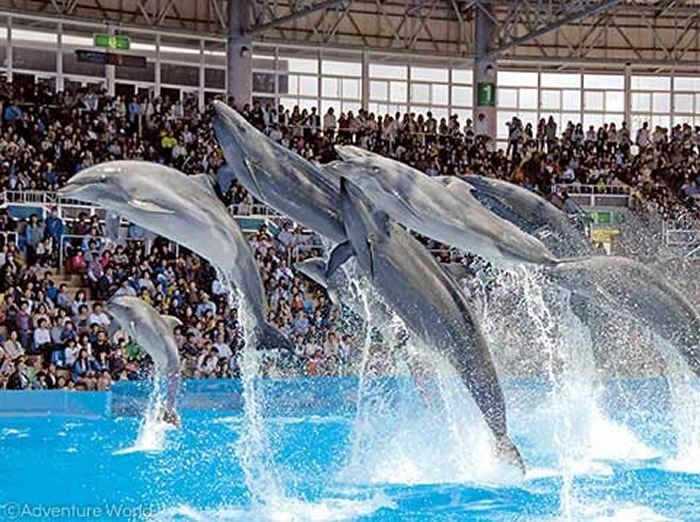 2˴롸ð硹أšֹ̫ɱࡹȱ