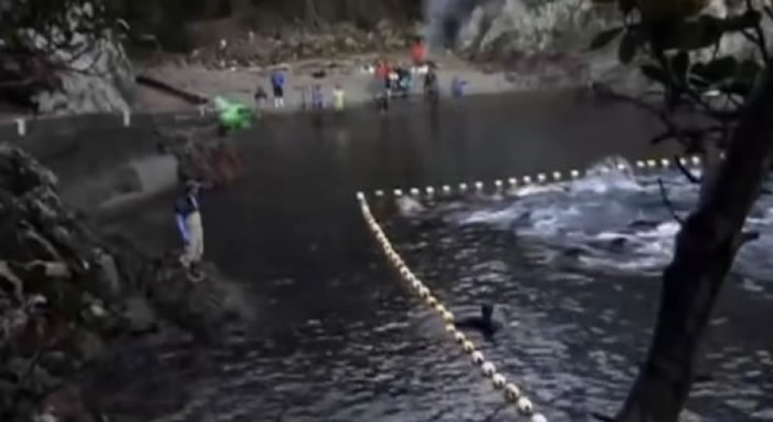 2009ļ¼ƬѪɫ塷¶̫ÿɱԼ2.3ֻʵ