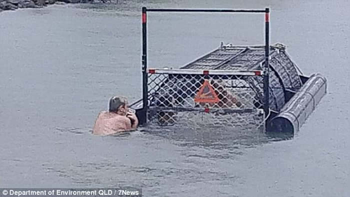 澳洲昆士兰省数名男子钻进放了鳄鱼诱饵的漂浮陷阱笼内嬉戏 官员轰“世纪白痴”