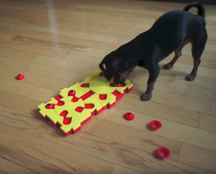 ��������С��Ripley�ƽ��������Ѷ�