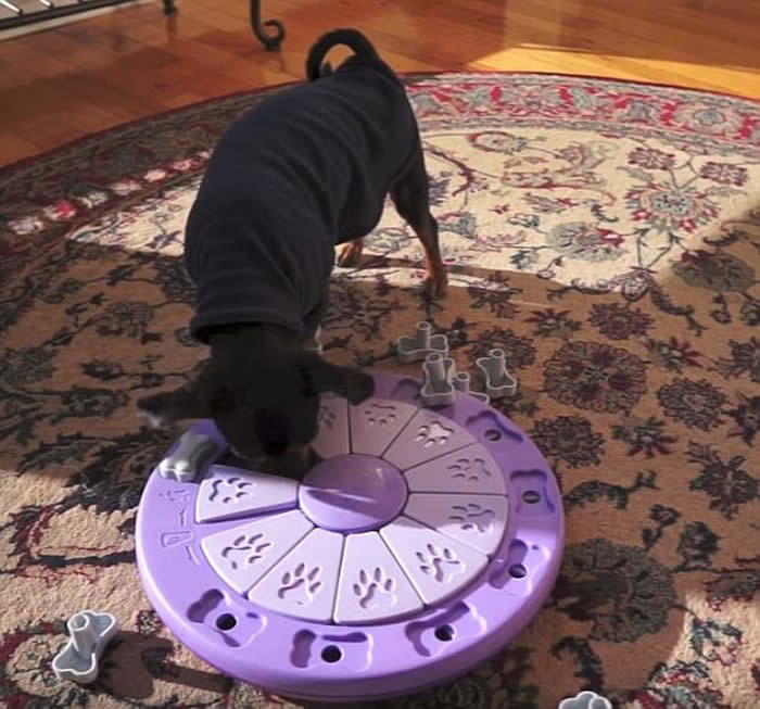 ��������С��Ripley�ƽ��������Ѷ�