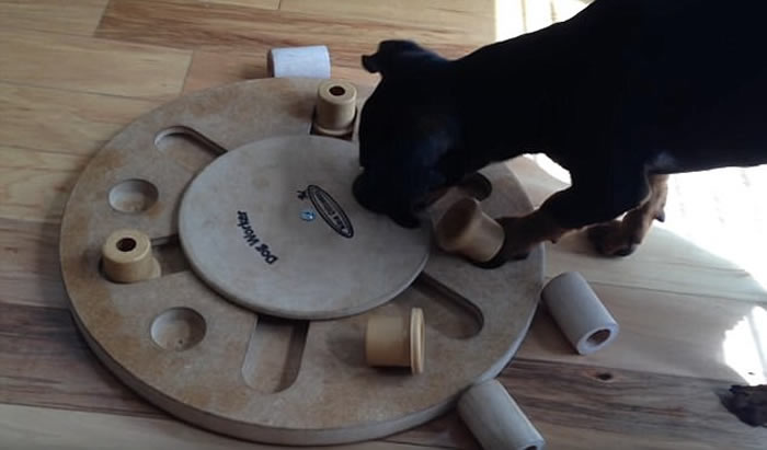 ��������С��Ripley�ƽ��������Ѷ�