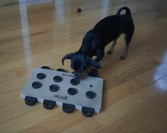 ��������С��Ripley�ƽ��������Ѷ�