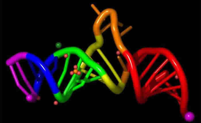 CRISPR����ǰ�أ��༭RNA