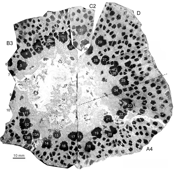 ½軯ɵĺ棬ֲ˫״33öϴ׳ľάɣеľάڷ
