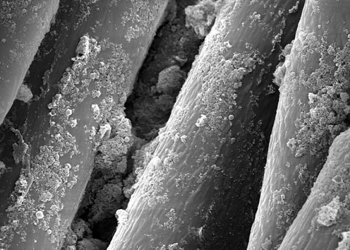 ��΢���¿ɼ������׽��������ڷ�װ��ά�ϡ�