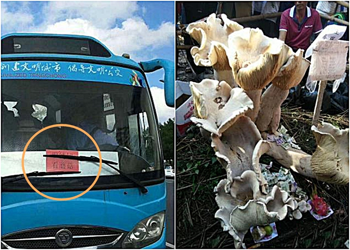 �е��صİ�ʿ˾���ڳ�������������Ģ�����������ͣ����вι�����Ģ������Ͷ��������