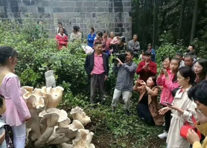 ��Ģ������һ�ȳ�Ϊ���ص����š����㡱��