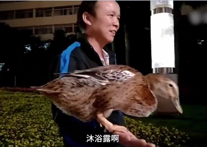 旭旭一直陪伴在许男身边。(