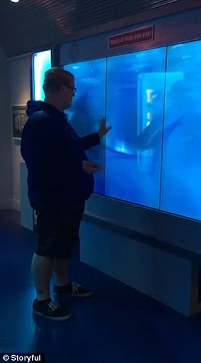 男子参观美国华盛顿国际间谍博物馆鲨鱼缸 被虚拟巨鲨突袭吓到