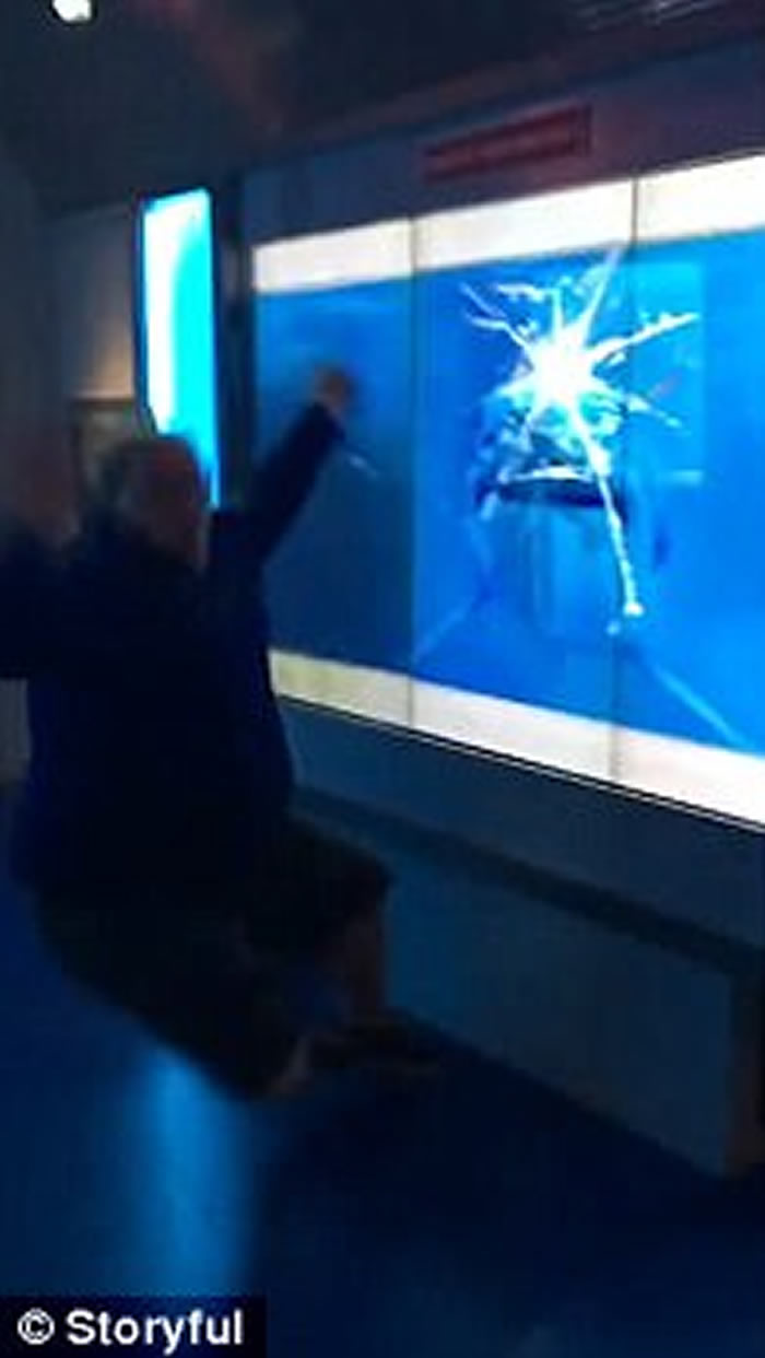 男子参观美国华盛顿国际间谍博物馆鲨鱼缸 被虚拟巨鲨突袭吓到