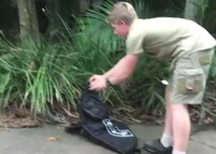 虎父无犬子:澳洲“鳄鱼先生”欧文13岁儿子勇擒蟒蛇