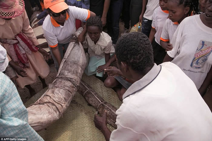 挖亲人遗体共舞:东非马达加斯加爆发的瘟疫可能与当地古老习俗Famadihana有关