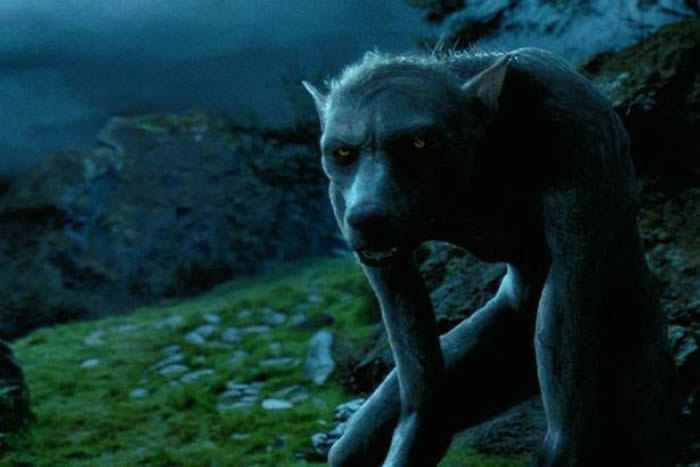 ������ͳ�����յ����ȿ�����16���Ͷ������õġ����±������ˡ�Peter Stumpf