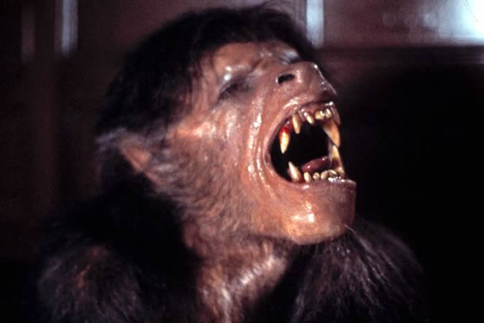 ������ͳ�����յ����ȿ�����16���Ͷ������õġ����±������ˡ�Peter Stumpf