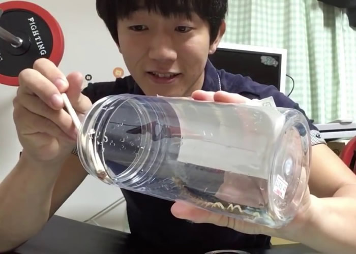 日本网络红人Mahiru Mitchell在YouTube上分享影片生吞蜈蚣