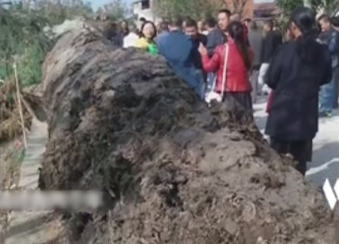 ���жϸþ���ľͷΪ��ǧ��Ľ�˿�ľ��