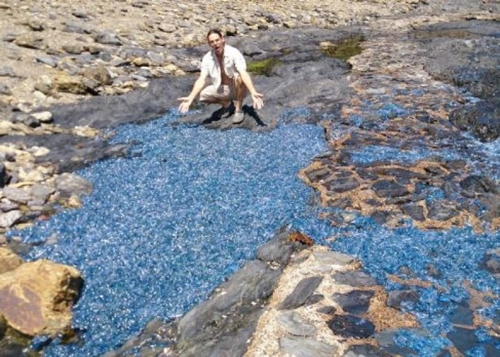 ������������˹ʡ��̲������ǧֻ�����ϰ�����ƿɮñˮĸ