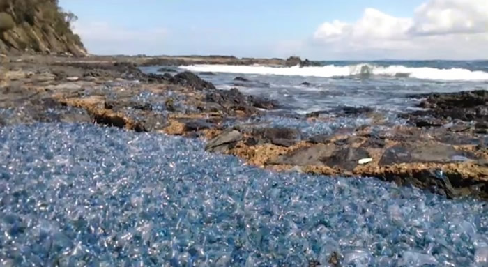 ������������˹ʡ��̲������ǧֻ�����ϰ�����ƿɮñˮĸ