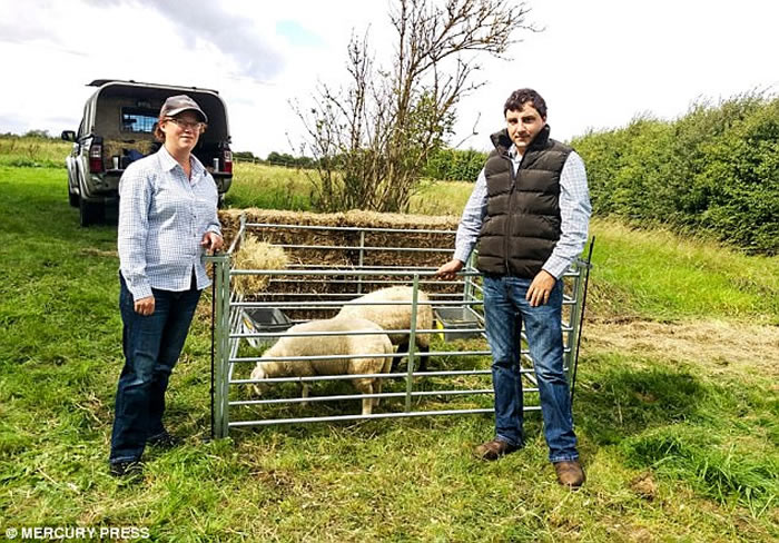 Ӣ���ͼ�����Ȯ�ڼ��к�԰ɢ�� ��Ⱥ�ж�β��