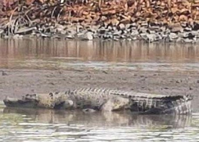 �������ں��м��һ��ɳ���ϡ�