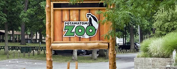 美国印第安纳州动物园老虎母性大发 用头轻抚孕妇腹部