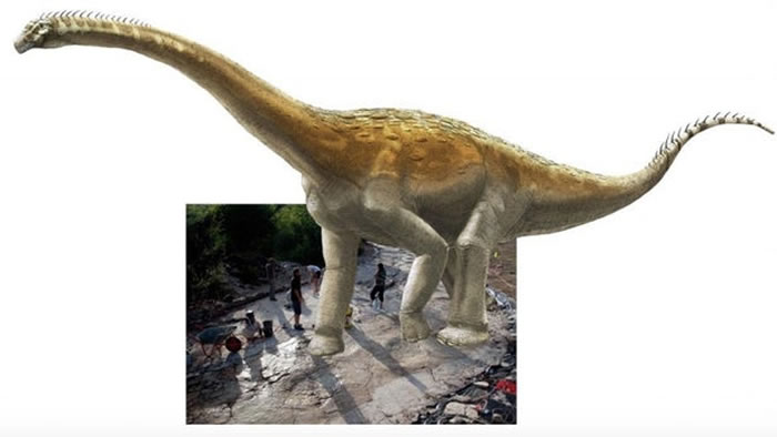 法国发现的世界上最大的蜥脚类恐龙足迹是有史以来最长的恐龙足迹化石的一部分