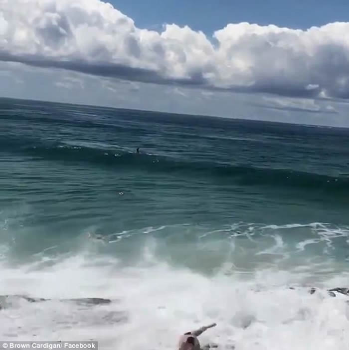 �������Ӳ�η������������ ������������