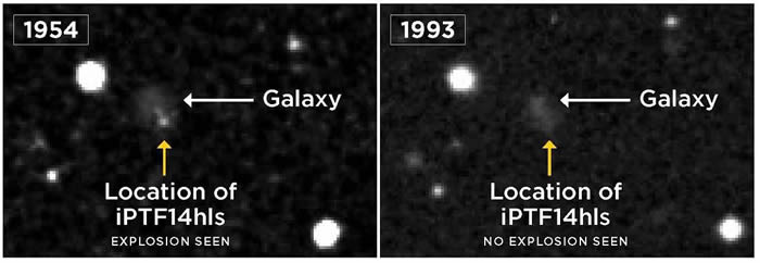 ������ǿ��ɥʬ������iPTF14hls�� ��������5�α�ը