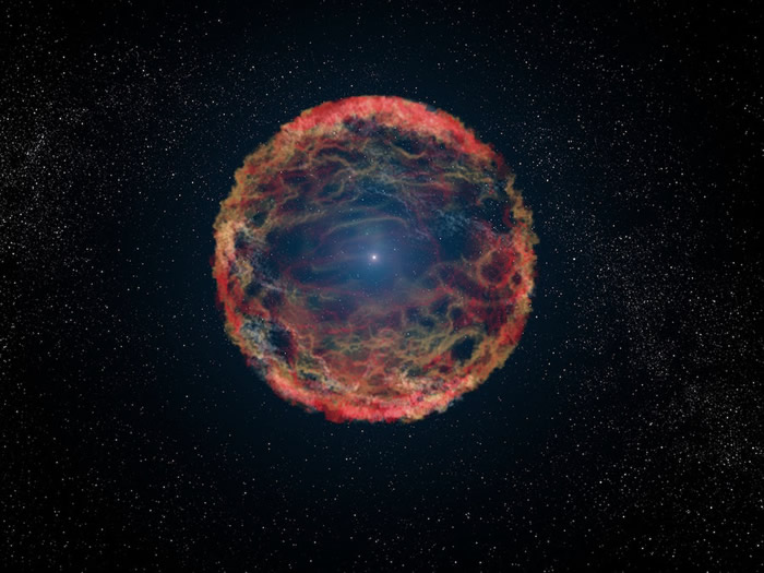 ������ǿ��ɥʬ������iPTF14hls�� ��������5�α�ը