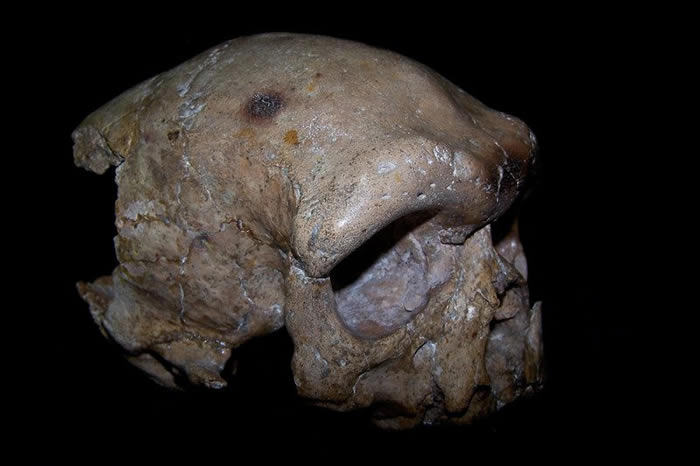 йֵĴͷǻʯоִ򲢷ȫǷȵĺ