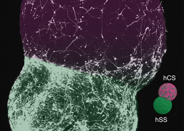 ͼ����ʾ������Ե����������