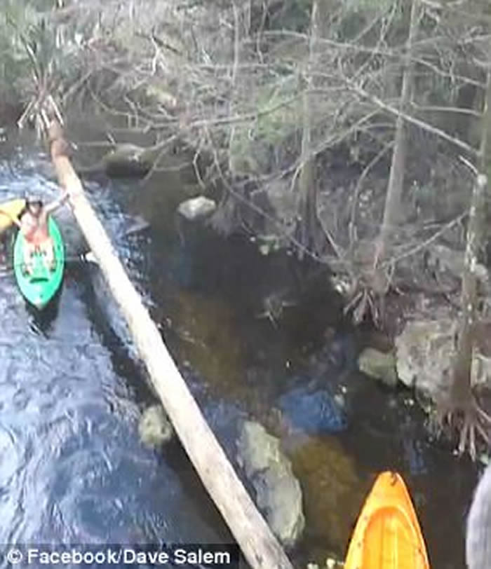 美国佛罗里达州青年大胆跳河 翻看影片惊见巨鳄踪影