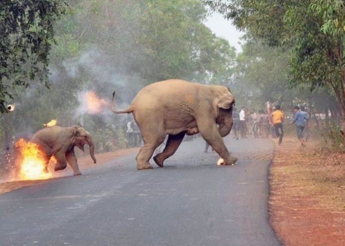 ӡ��С���Ⱪ���������һ�� ��Sanctuary����־�ٰ����Ӱ�����ھ�