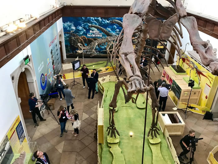 中国“龙”惊艳英伦——从撼地巨人到飞羽精灵