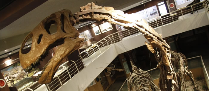 中国“龙”惊艳英伦——从撼地巨人到飞羽精灵