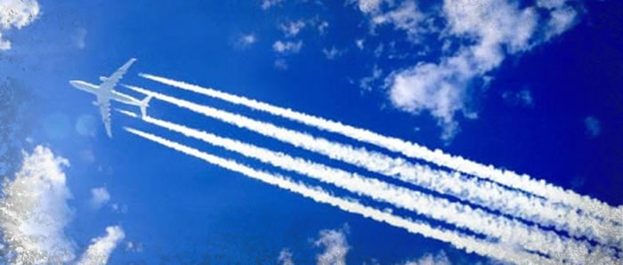 �ɻ�͵�������ͻ�ѧ��Ʒ����ƽ����գ�������������Ϊ����ѧ����β����ı����ȫ��ʵ