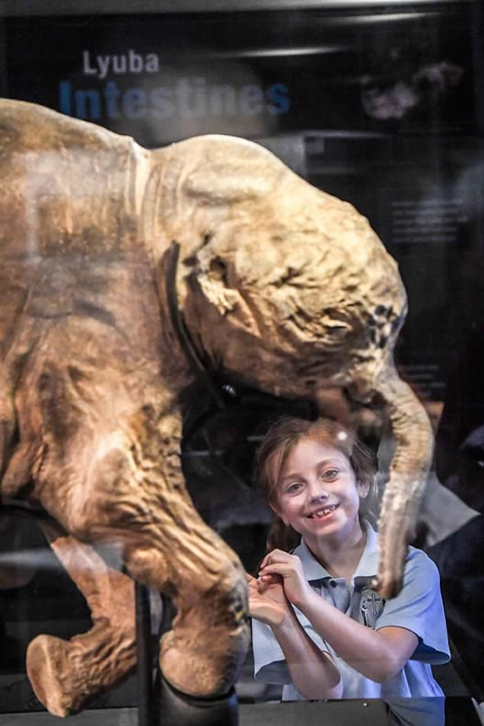 ����˹��ë��Lyuba�״Ρ�̤�㡱�ϰ��� ���޲����չ��