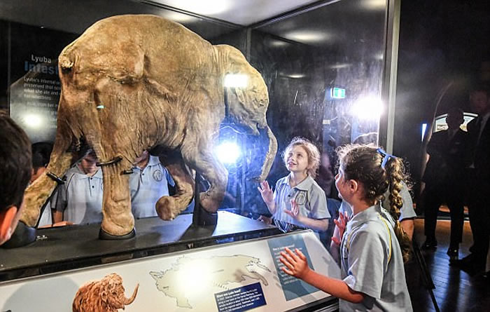 ����˹��ë��Lyuba�״Ρ�̤�㡱�ϰ��� ���޲����չ��