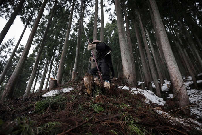 秀夫先生是阿仁又鬼猎人群体的领袖之一。他穿着传统服饰,手握长矛,这支长矛已经在他的家族传承九代了。 PHOTOGRAPH BY JAVIER CORSO