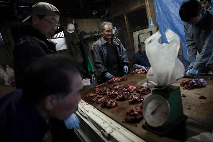 狩猎一结束,所有参与者就会分享成果,将猎物分成相同大小。每个人都有权获得相同比例的猎物皮肉。 PHOTOGRAPH BY JAVIER CORSO