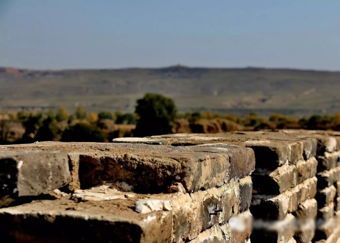 ר����Ϊ��Ӧ�á��ɰ��վ�ש�����ﲿ�����ɡ���