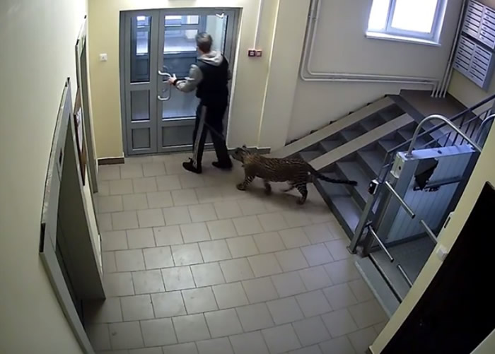 ս塱˹ӾȻͬıڶֳͯɢ