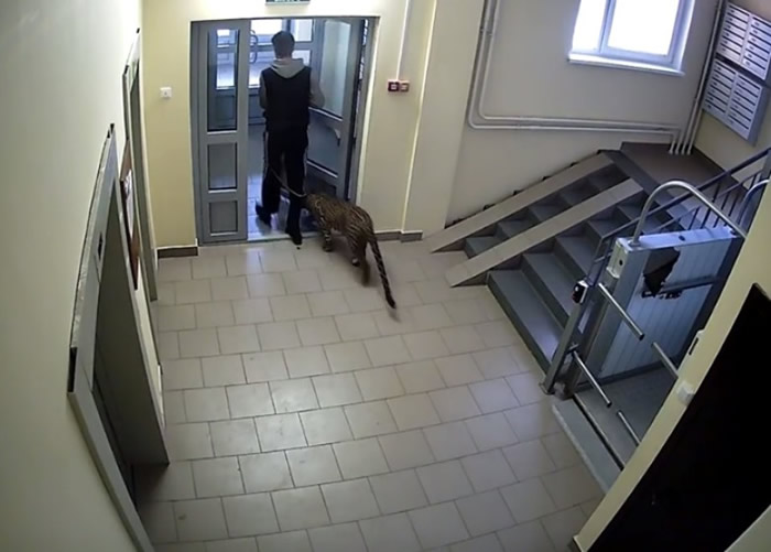 ս塱˹ӾȻͬıڶֳͯɢ