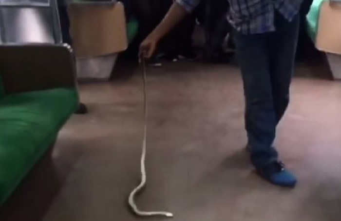 ӡ����Ͼ�Ȼ���� ����Ѹ���Ʒ�