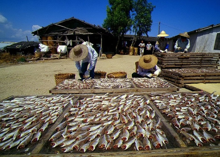 世界卫生组织国际癌症研究机构公布新致癌物清单:“中国式咸鱼”列一类